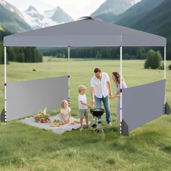 Padiglione Pieghevole 300x300 cm con 2 Pareti Laterali, Borsa con Ruote e Accessori
