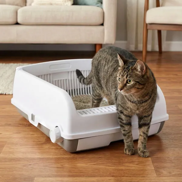 Litière pour Chats Semi-Automatique avec Bac Extractible Blanc