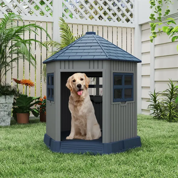 Niche pour Chiens Extérieure avec 2 Fenêtres et Lucarne Toit Incliné Bleu+Gris