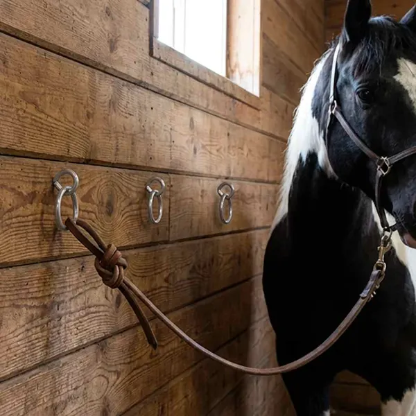 Anéis de amarração para cavalos com parafusos de olhal 3 pcs aço prateado
