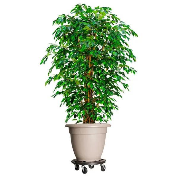 Carrinho de plantas com rodas 5 pcs diâmetro 40 cm 275 kg preto