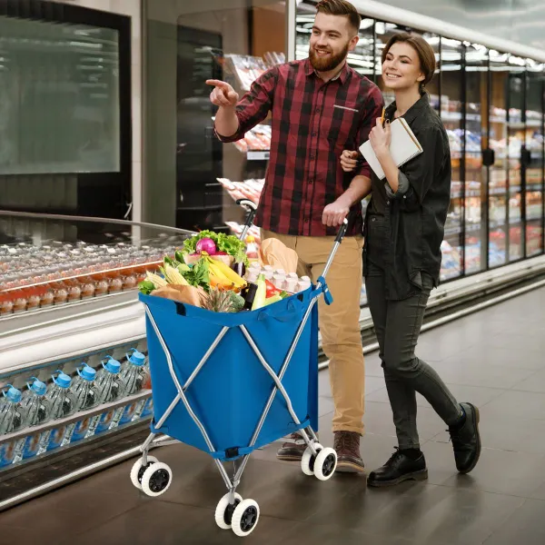 Carrello della Spesa Pieghevole con Ruote Fodera Oxford Rimovibile Impermeabile 66 x 46 x 94,5 cm