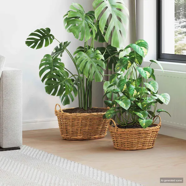 Cesta de Plantador 2 pcs Castanho Rattan Lacak