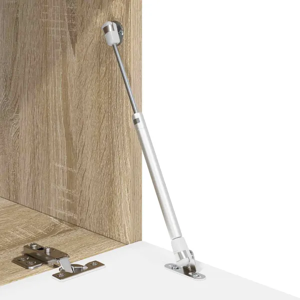 Mola a Gás Hidráulica 12 pcs Prateado 280 x 17 x 16 mm