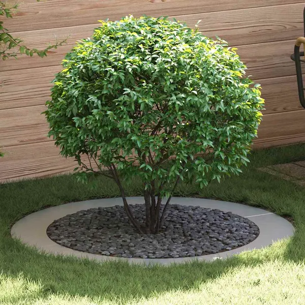 adequado para Anéis de Árvore Planos 5 pcs Prateado Ø90 / 120 cm