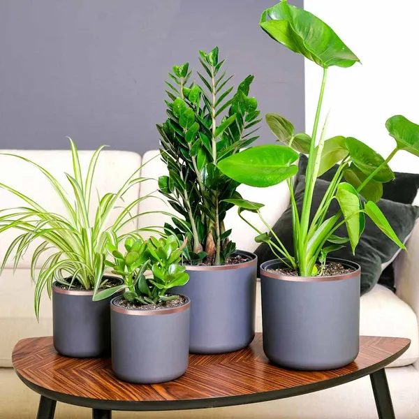 Fita de cobre 6 pcs Cobre 2000 x 1 cm Cobre