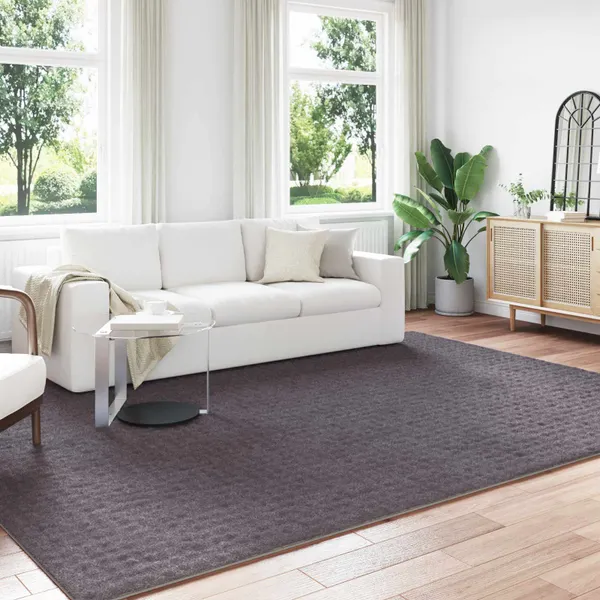 Tapetes de área SIROLO Antracite 340 x 240 cm Poliéster