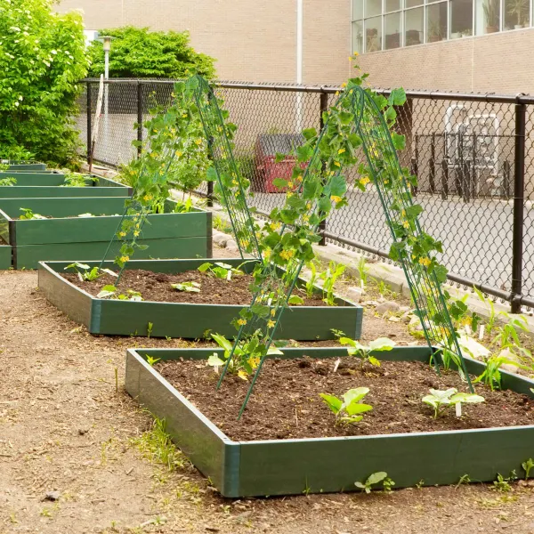 Paquete de 2 Enrejados de Jardín de Metal 180x50cm Set de Soportes para Enredaderas Plantas Trepadoras Verduras Plantas Verde