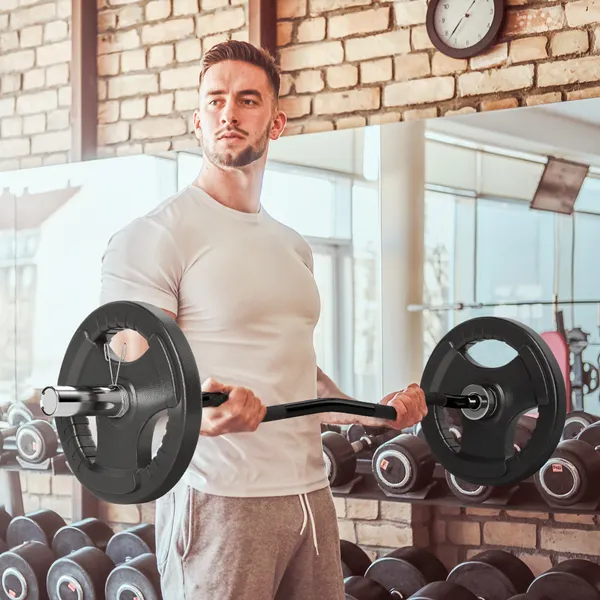 Barra de Pesos de Aço 120 cm Barra Curl EZ Ø50 mm com 2 Grampos Carga 100 kg Barra Olimpica para Discos de Ø5 cm Treino em Ginásio Casa Prata e Preto