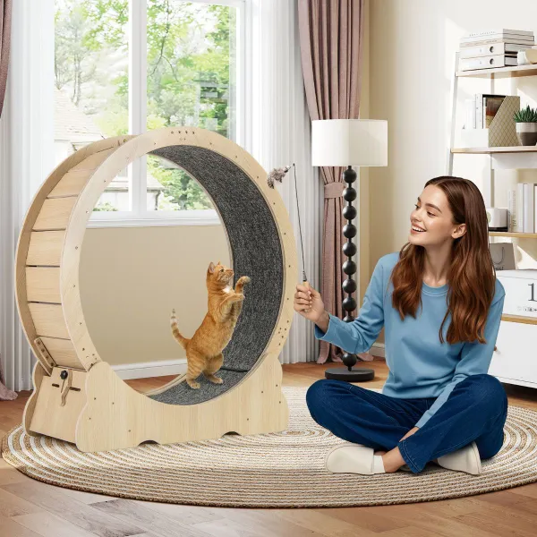 Roue d'Exercice pour Chats 101cm avec Mécanisme Verrouillable, Piste Rembourrée et Structure en Bois