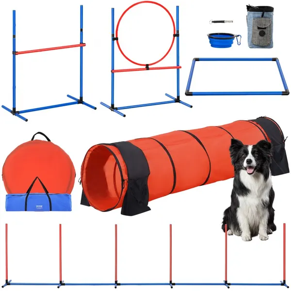 Kit treino agilidade cão 5 peças saltos barreiras túnel