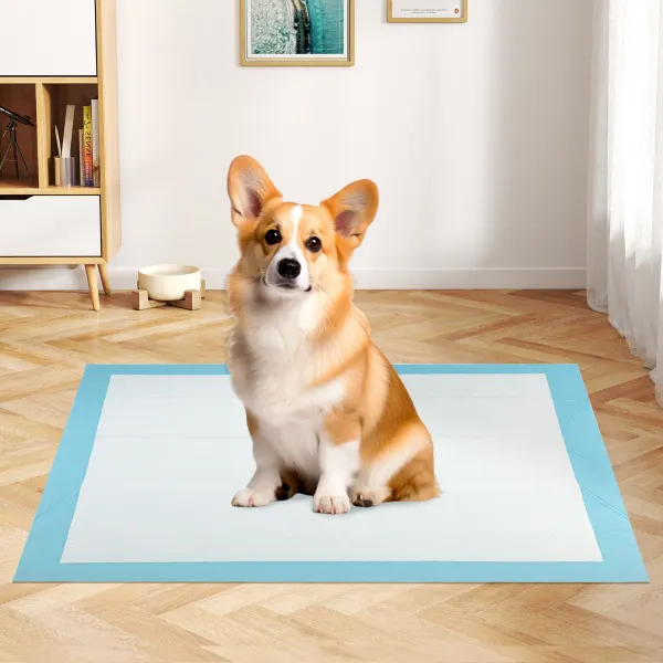Tappetini Assorbenti per Cani 150 Pezzi 90x60 cm - 6 Strati Ultra Assorbenti
