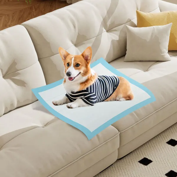 Couches Absorbantes pour Chiens 150 Unités 76x76cm avec 6 Couches Imperméables