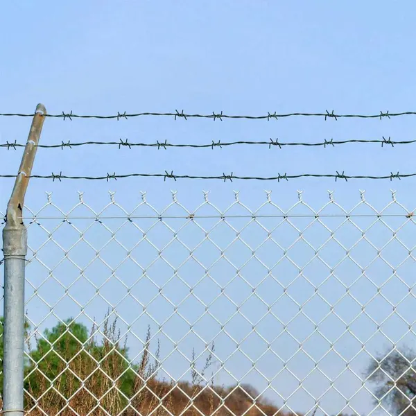 Arame Farpado Verde 100 m Aço Galvanizado a Quente