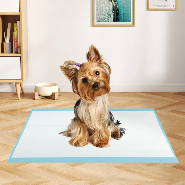 Tapis Éducateurs pour Chiens 300 Unités 60x43cm Imperméables 6 Couches Ultra Absorbants