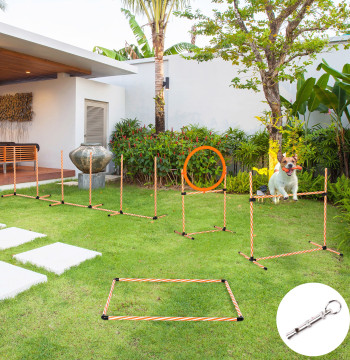 4 Dog Agility Training Set Parti Kit Training Agility per Cani con Slalom Break Area Barriers e Orange Jump Ring