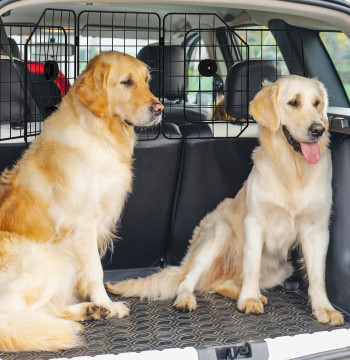 Barrière de protection de voiture pour chiens avec grille de largeur réglable pour chiens de voiture pliables en acier 93-150x42 cm Noir