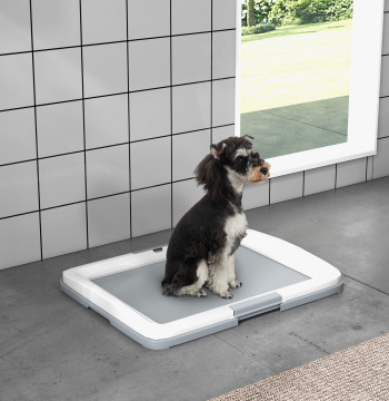 Sanita Dog Guard Board pour chiens avec plateau pour l'entraînement extérieur et intérieur 63x48,5x6 cm Gris