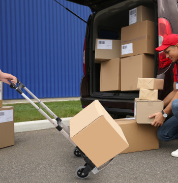 Carrinho de mão dobrável de alumínio Altura ajustável de 3 níveis Fácil transporte Carga 70 kg 41x38,5x100 cm Preto e cinza