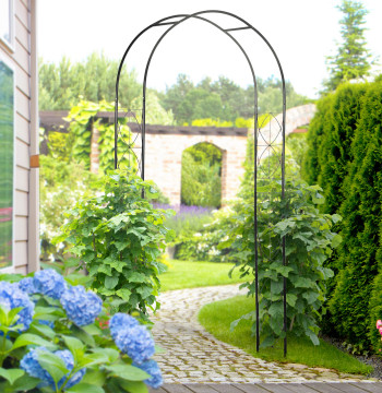 Arco de Jardín de Metal Arco Decorativo con Diseño de Treliça para Plantas Trenes para decoración Pátio Terrazo 114x30x230 cm Negro