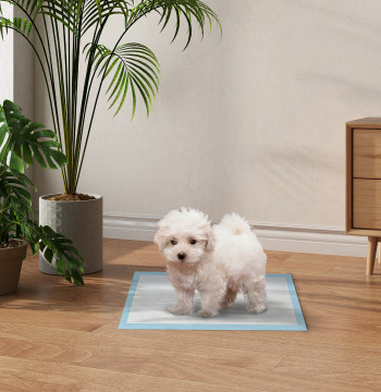 Gardes de train Estimation Animaux 100 Unités 45x30 cm Répondeurs Absorbants pour chiens Dessin avec 6 couches avec surface de séchage rapide bleu