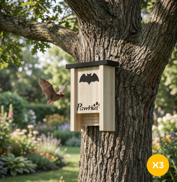 Set di 3 Bat Refuges scatola esterna in legno, orta da giardino o Quinta con piattaforma di atterraggio e facile da appendere 18x6x22.5 cm