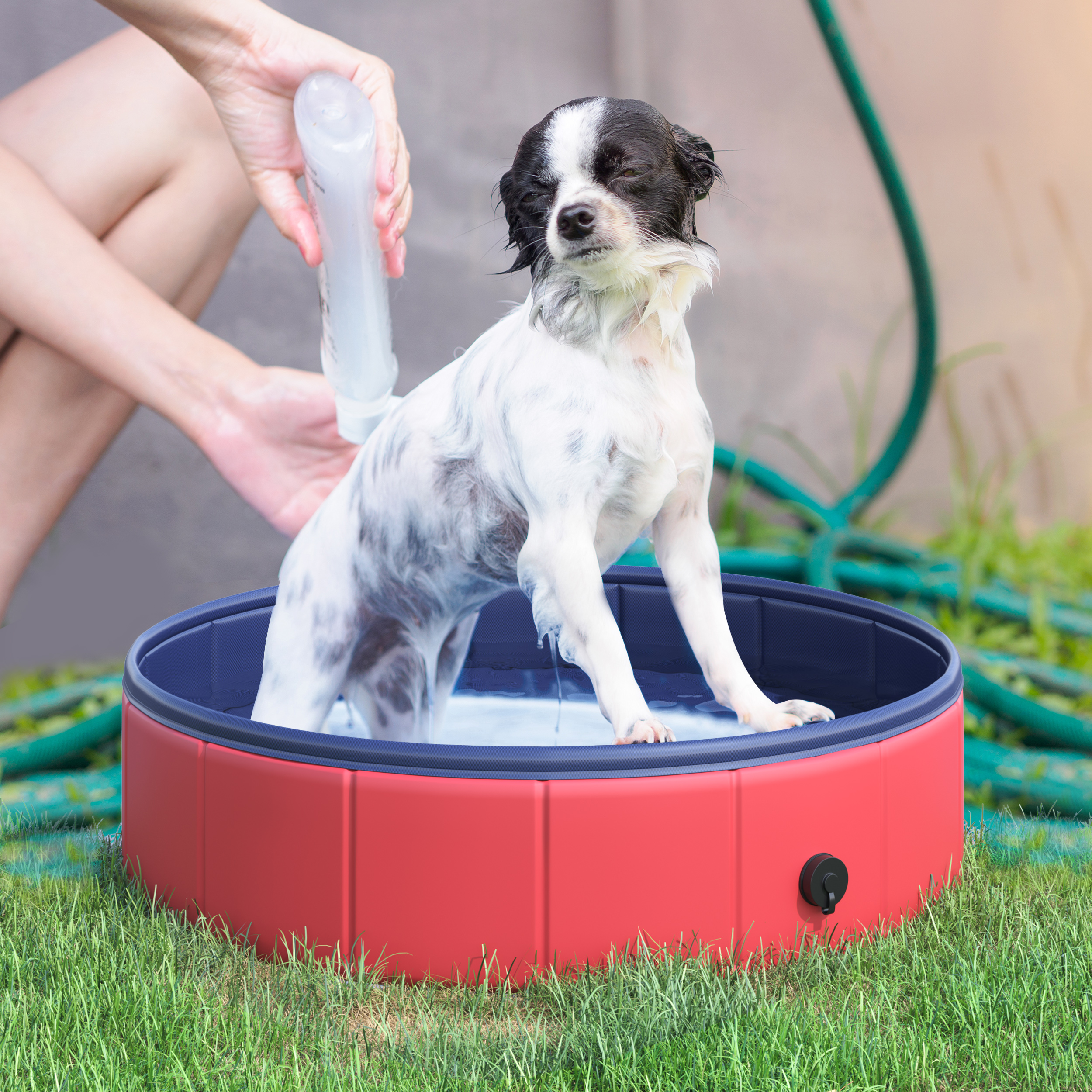 Piscina Dobrável para Cães Gatos Banheira Portátil para